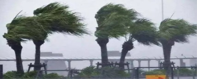 强风是风力几级