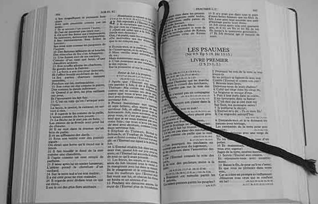 四级作文怎么练最有效