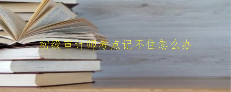 初级审计师考点记不住怎么办