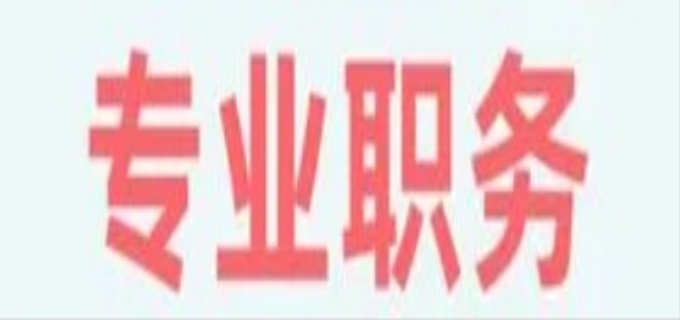    专业职务是什么