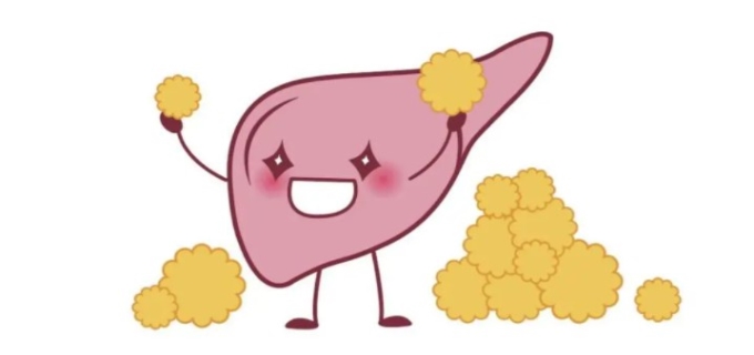 胆固醇合成的限速酶是什么