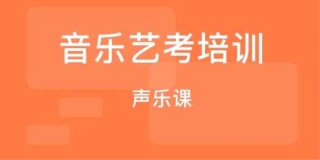 声乐艺考培训班的费用